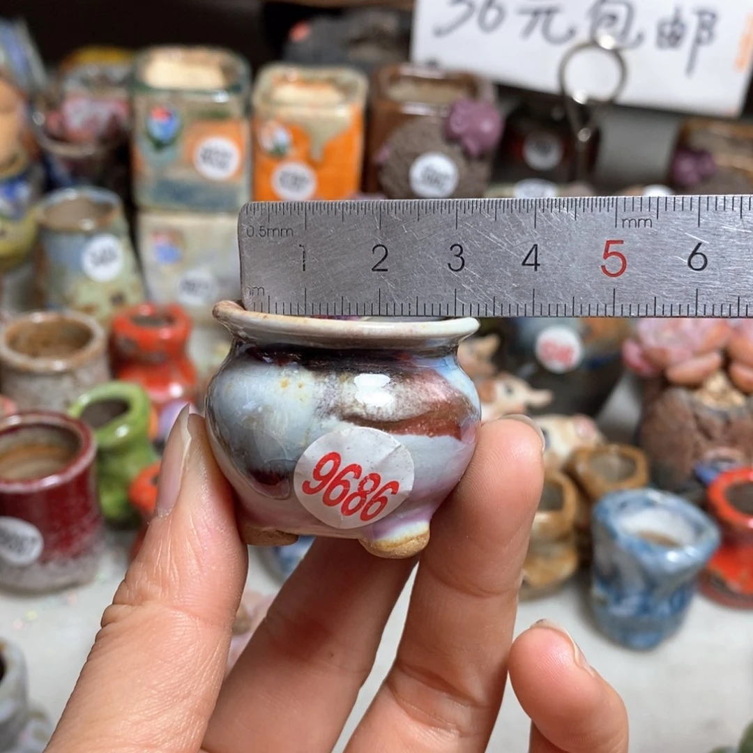 多肉花盆，拍5送一个小礼物