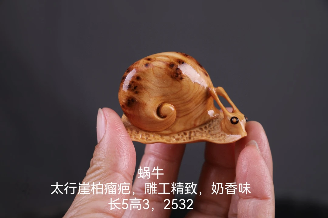 秒88【蜗牛】太行崖柏瘤疤2532