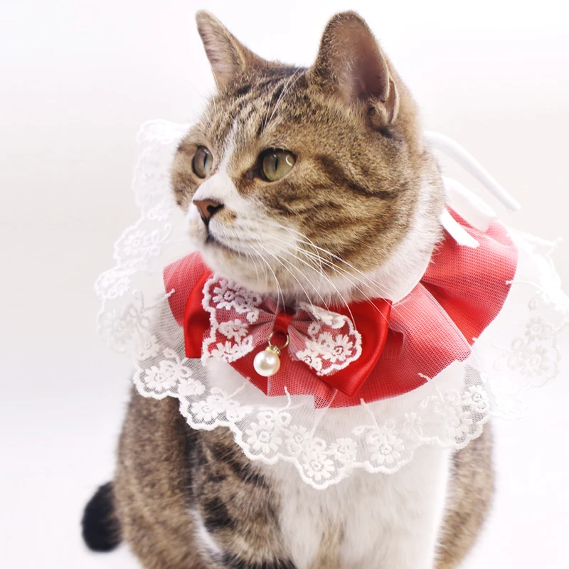 猫咪狗狗围脖围领宠物口水巾兔子饰品布偶英短美短蓝白泰迪比熊