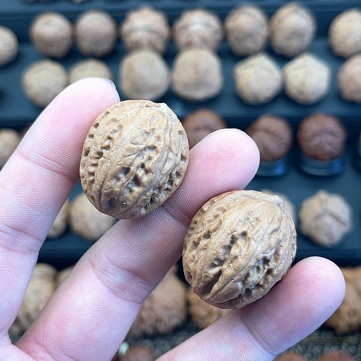 文玩核桃把件小金蛋