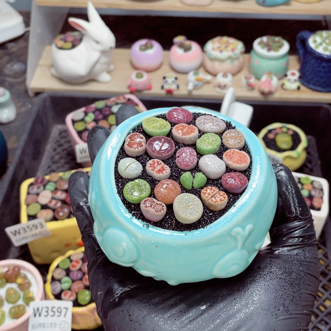 夜间零下地区拍保温箱w3599