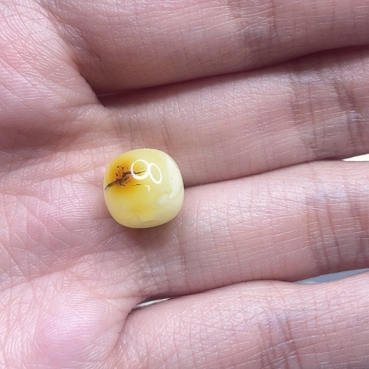 琥珀裸石未镶嵌微瑕