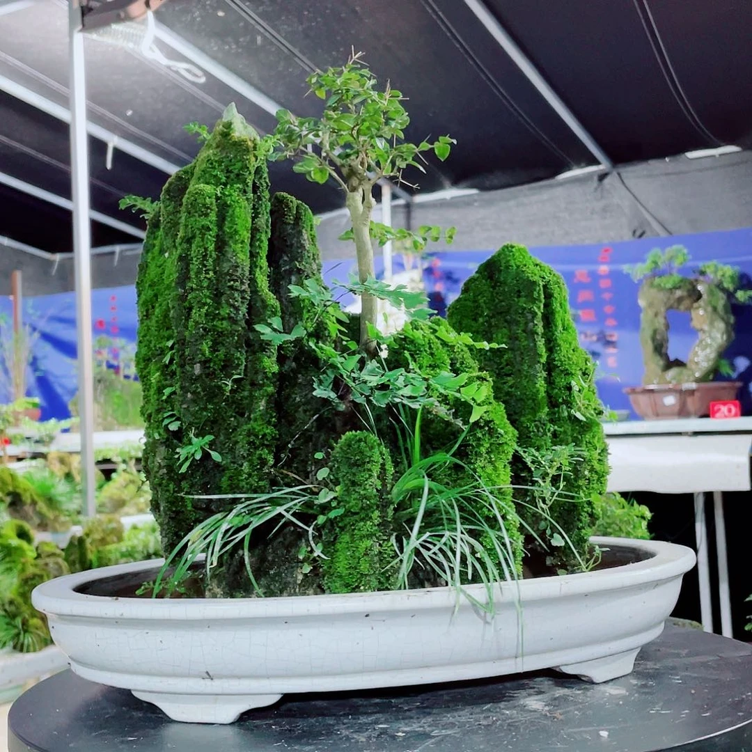 k***d完全开放我们是真的爱对方很好