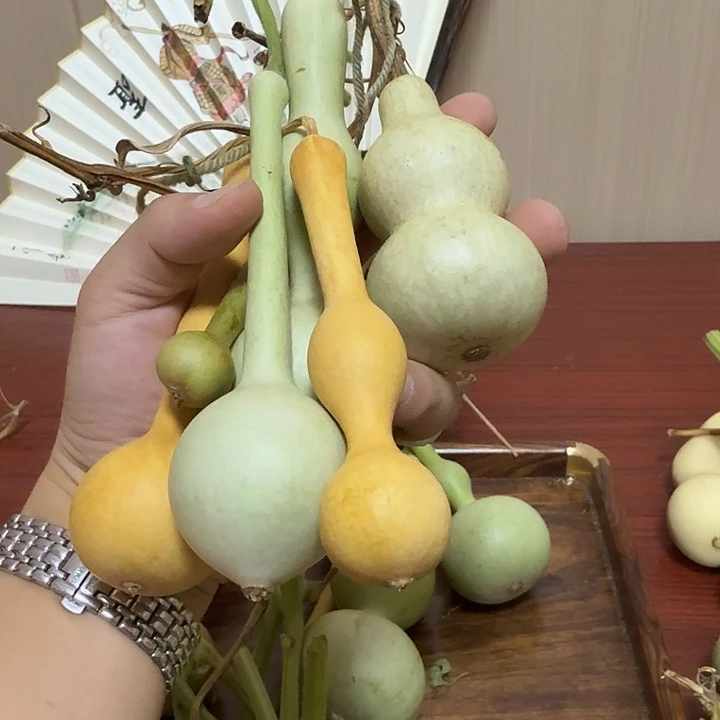 胡***哈qqwwweettyuuhggg