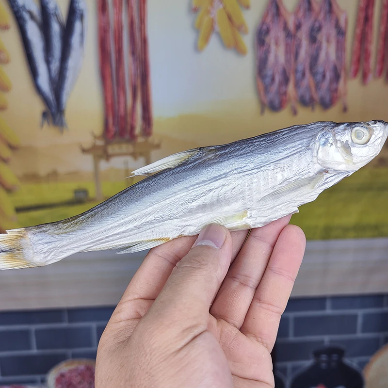 河鱼干腌制晒干翘嘴