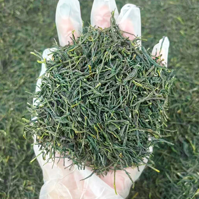 2025年明前毛尖新茶上市明前高山恩施硒茶叶口粮茶绿茶头采春茶