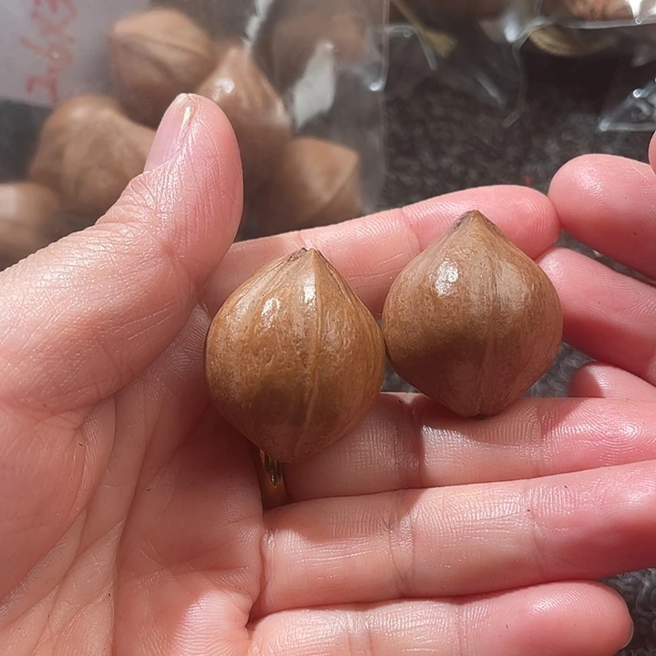 关***掌橄榄核吊坠2.4✖️2.9两颗