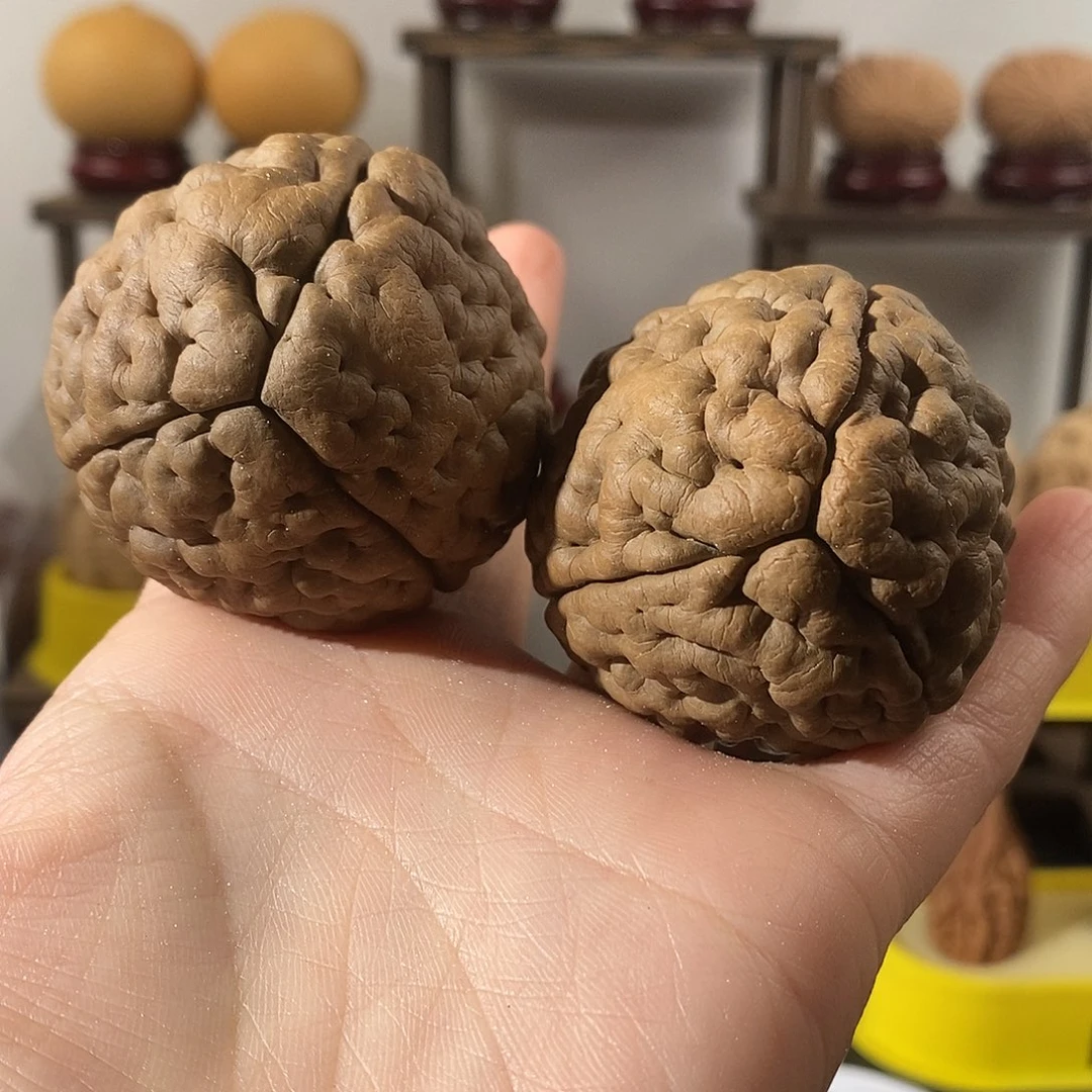 吊坠文玩核桃三瓣脑纹金刚练手4760