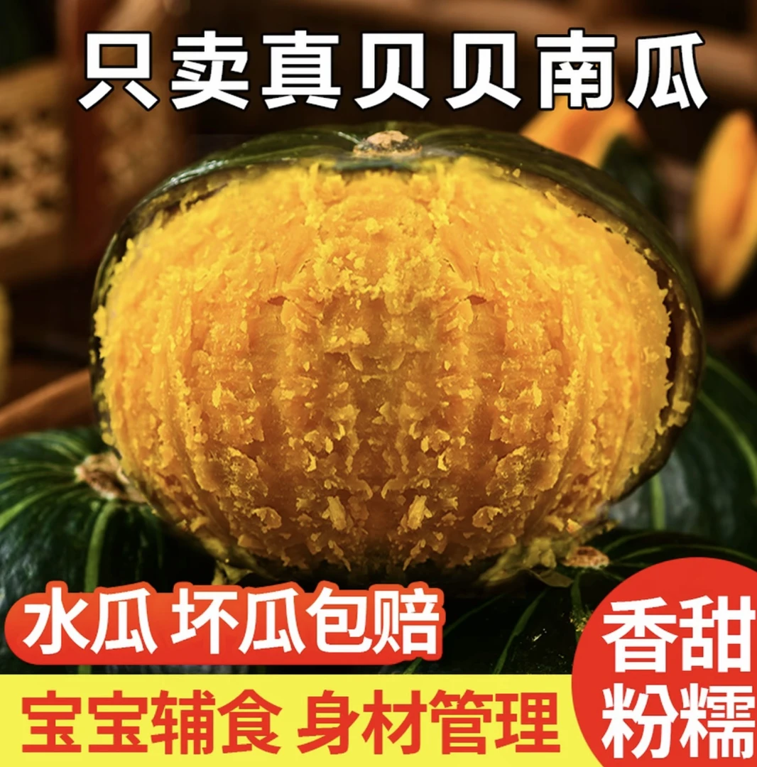 内蒙古沙漠贝贝南瓜露天种植粉糯香甜适合孕妇宝宝辅食