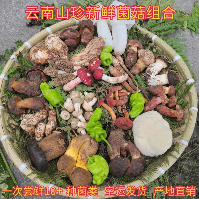 边境山货天然滋补代拍链接