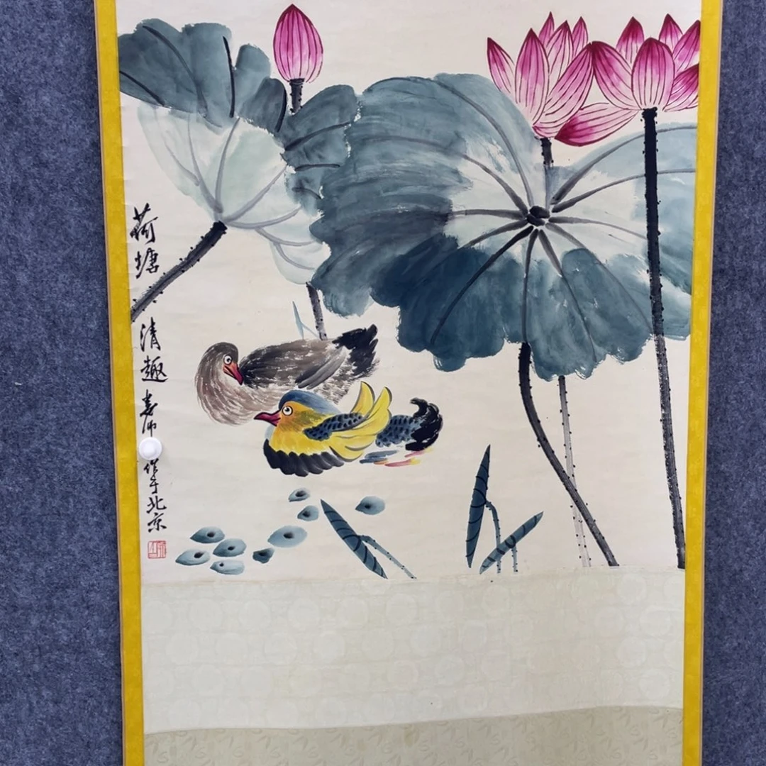 漂亮小猫咪好可爱呀好可爱呀