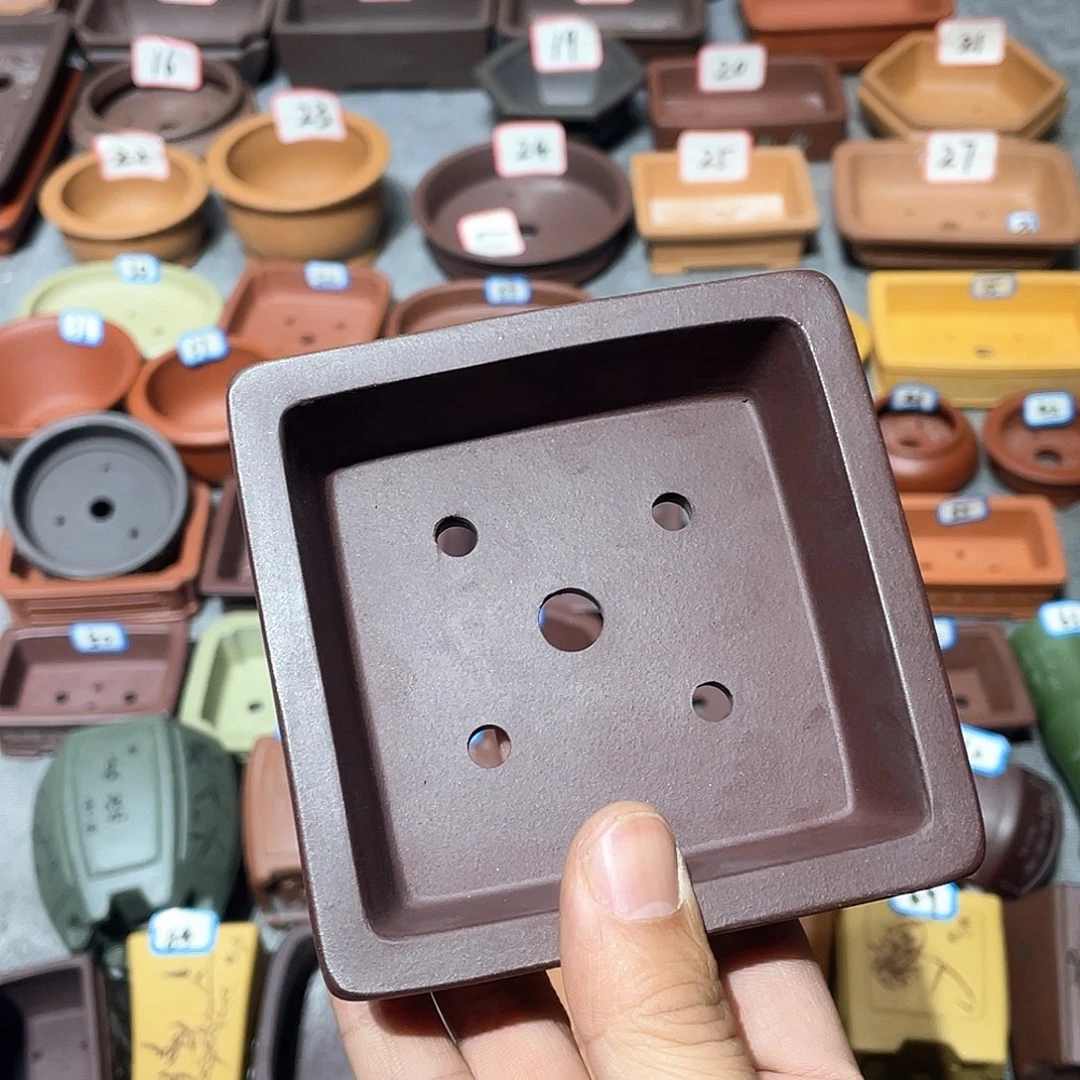 植*紫砂小盆8.8*2.3cmmmm