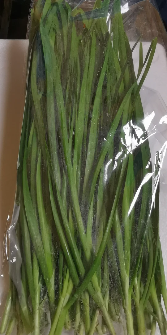 新鲜韭菜400g/份±5g