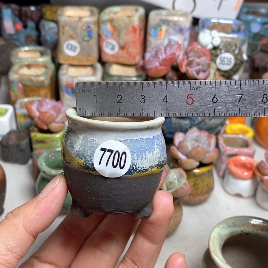 拍5送一个小礼物