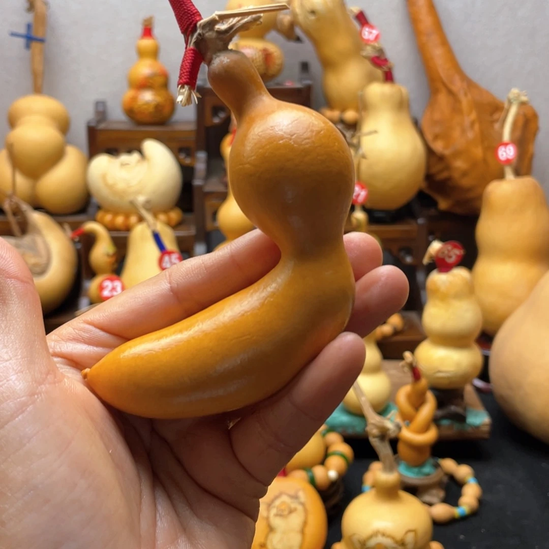 李*树大自然的秘密第十节