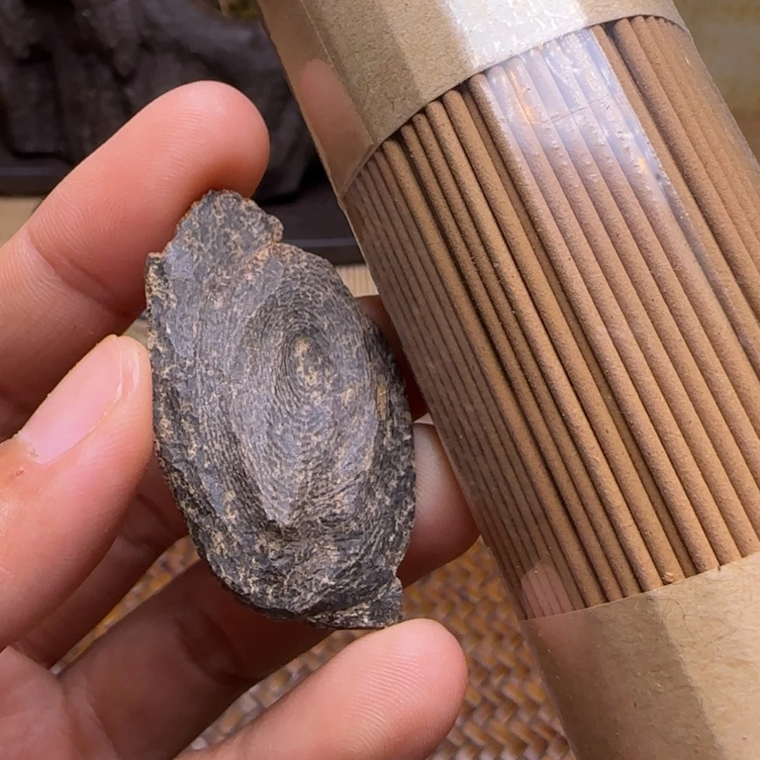 海南尖峰岭沉水包头1.3克重