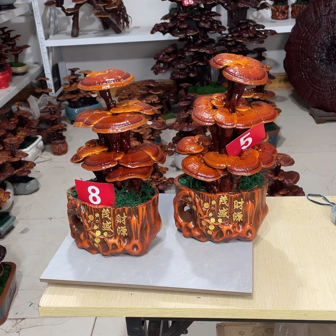 无花朵88888888888888888