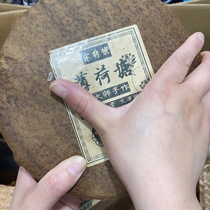 紫砂哈哈哈哈我的天啊我的天我的天我的天