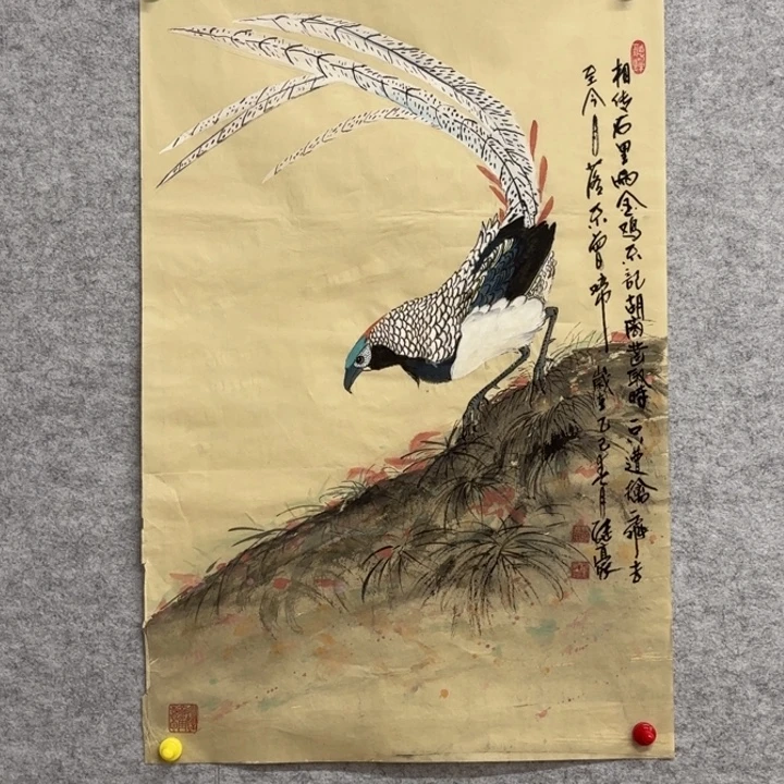 国画花鸟等多种鸟类的
