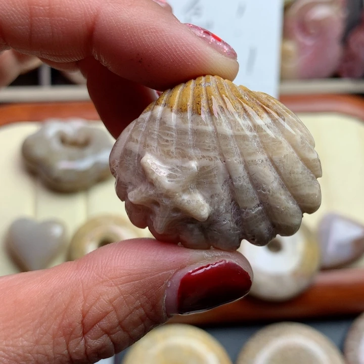 硅化珊瑚（珊瑚玉）颈饰未镶嵌