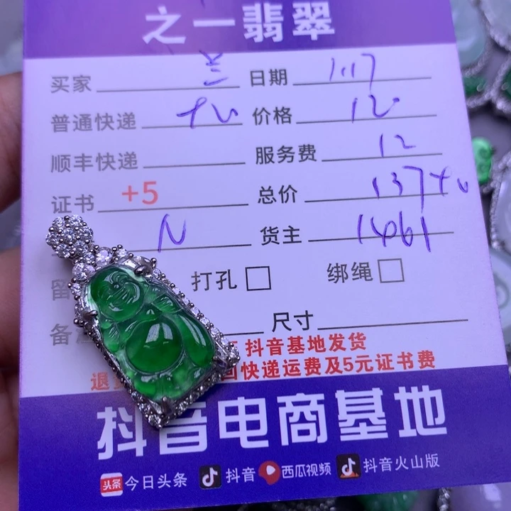 翡翠颈饰银S925镶嵌兰