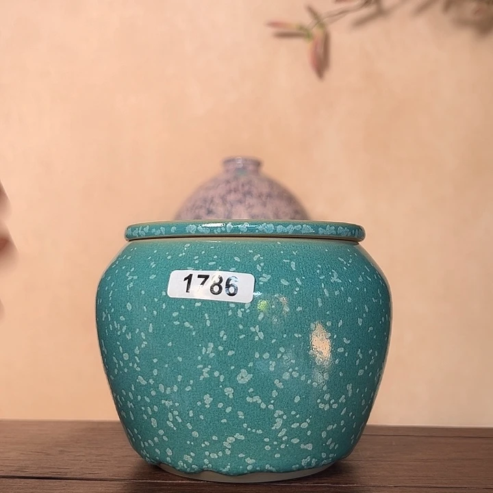 ****粒罐178600000000000