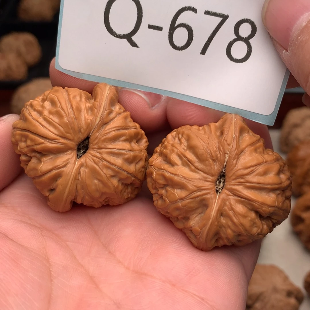 文玩核桃把件40元宝………….