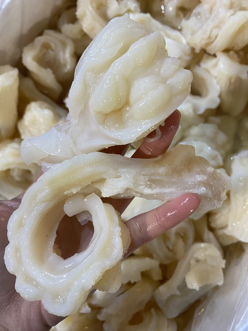 广东湛江 鲨鱼肚 炖汤 爆炒营养丰富