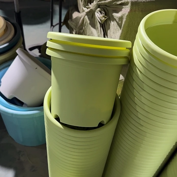 四季3#口径21果绿10个无托