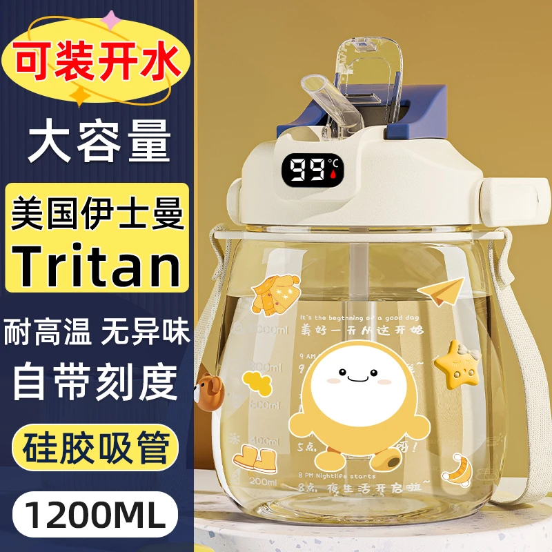 2025新款塑料水杯女生高颜值带吸管便携女生办公室大容量简约杯子