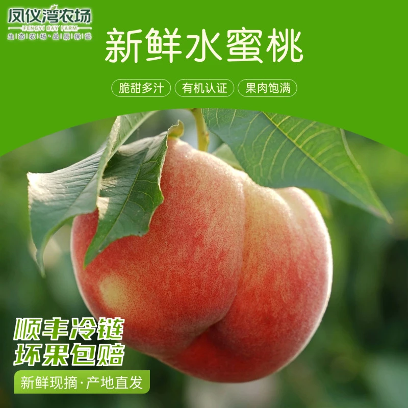【凤仪湾农场】【顺丰冷链】新鲜脆桃应季水果脆甜整箱礼盒装3.6斤