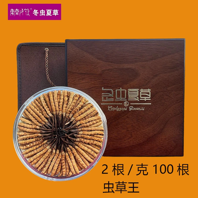 【索南才让】2根/克 100根 2025头茬精选干冬虫夏草滋补礼盒装