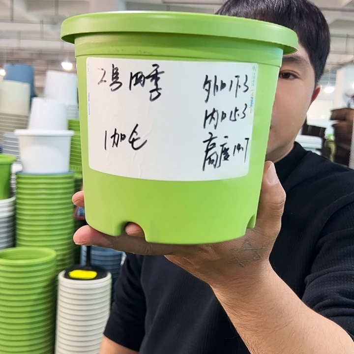 特价2号四季口17高14果绿色10个无托