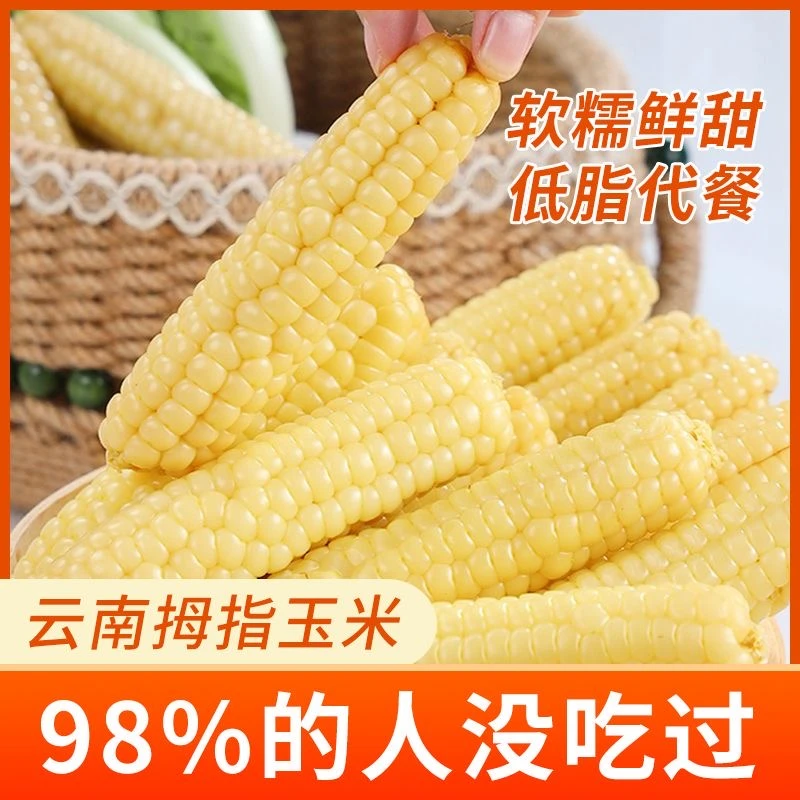 云南版纳拇指玉米香糯小玉米傣家甜黏手指玉米软糯香甜