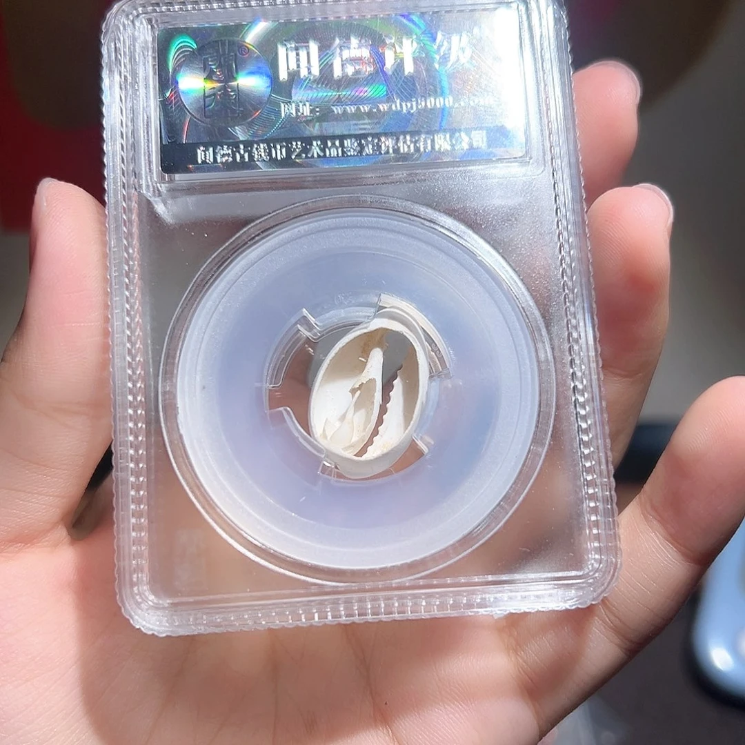铜天然贝币～～观山