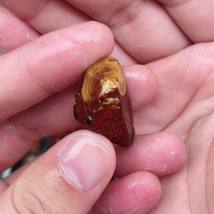 【闪购商品】定制琥珀未镶嵌蜜蜡