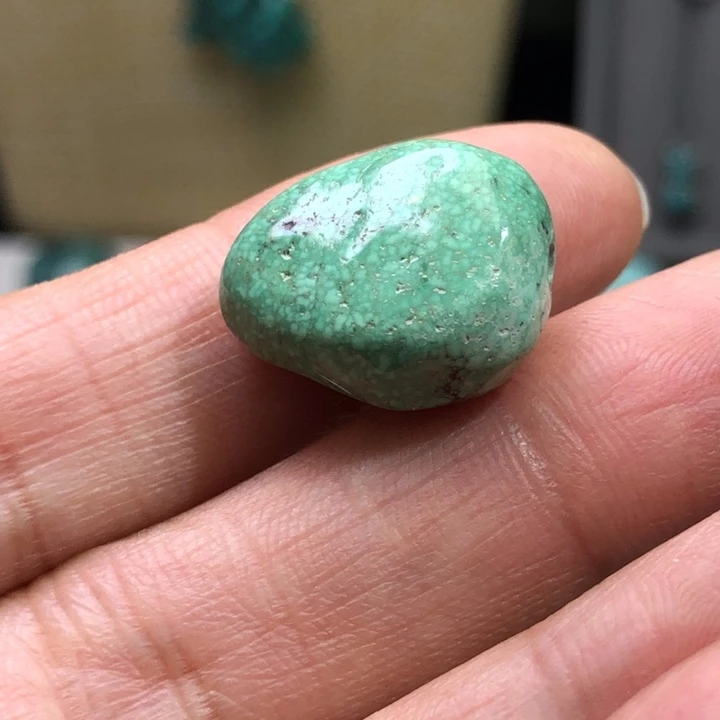 绿松石未镶嵌颈饰