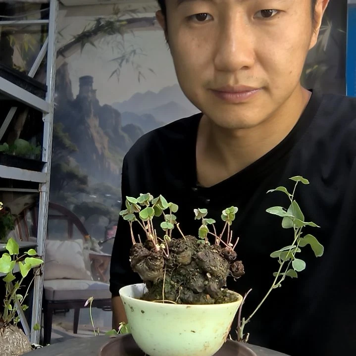 .****.中青园艺一物一拍417