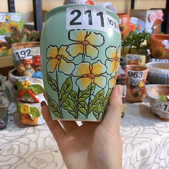 多肉花盆满15包邮