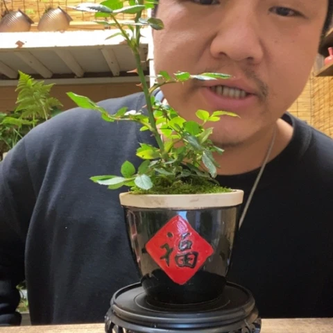 红陶僪****一物一拍所见即所得24