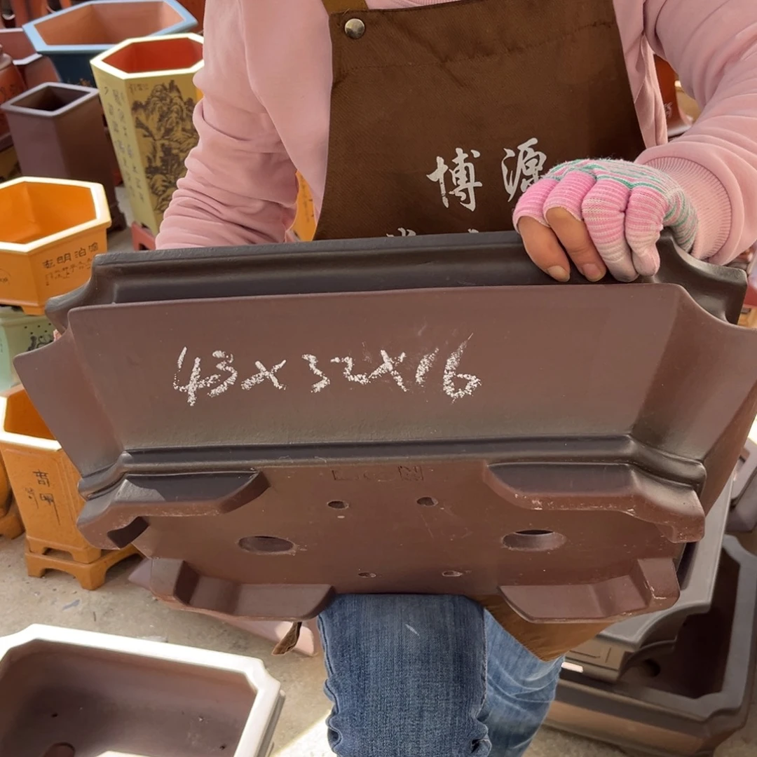 紫砂花盆盆景艺术