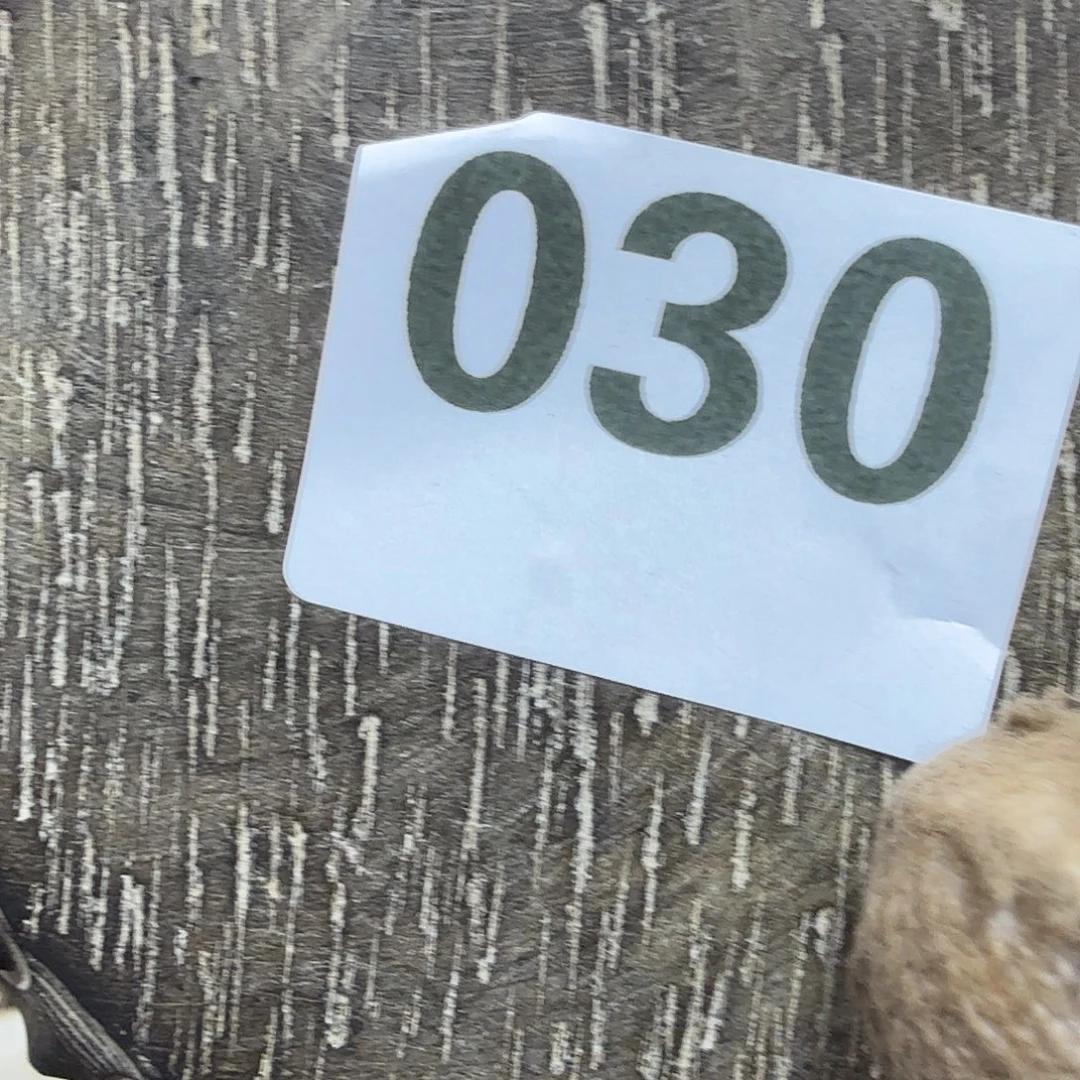 问***旅一物一圖,，工藝品。