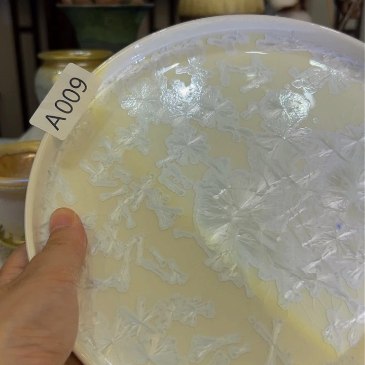 景德镇陶瓷研究所?****?