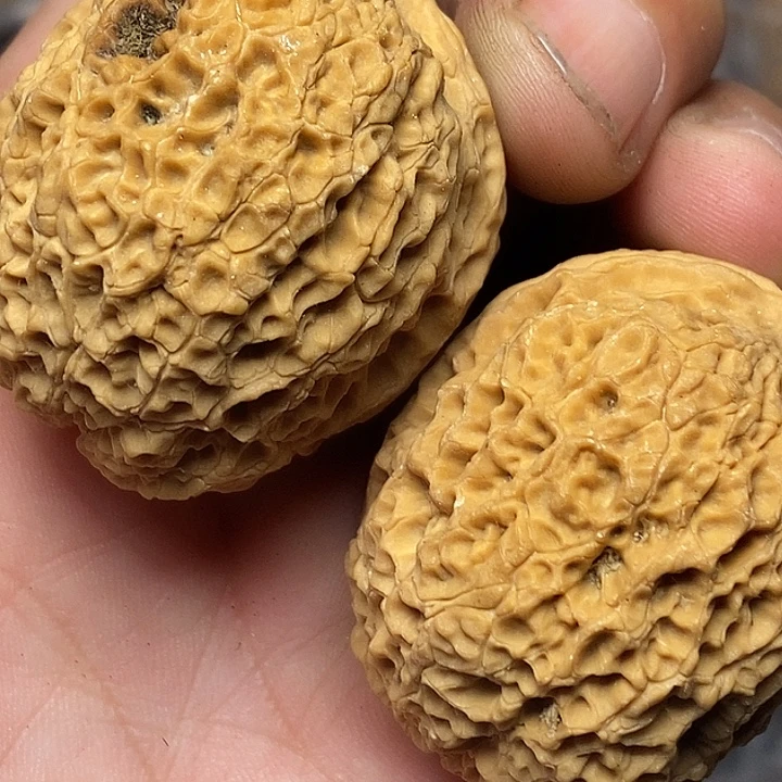 把件文玩核桃云南铁核桃A21