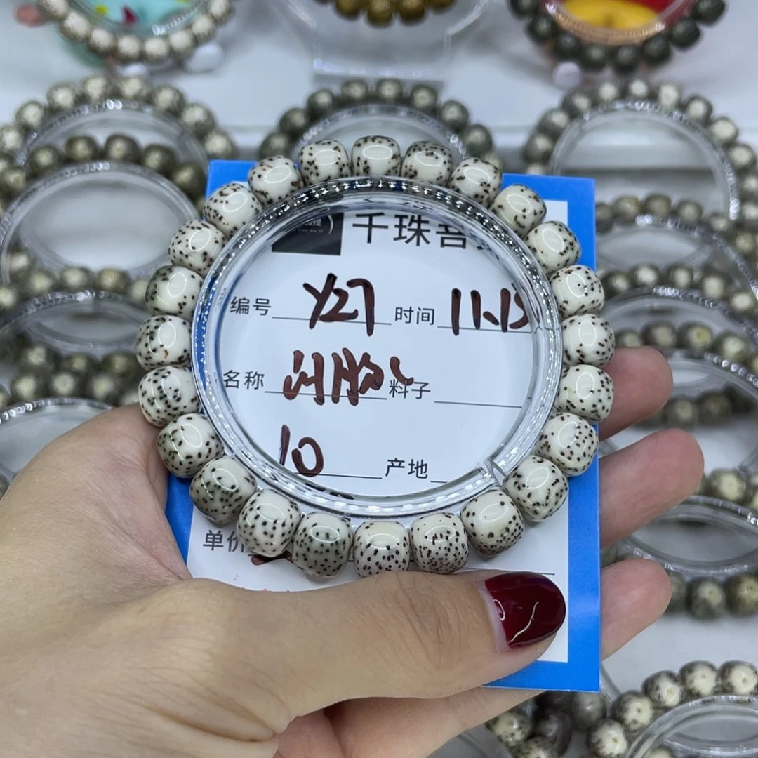 菩提籽类Y27河豚00