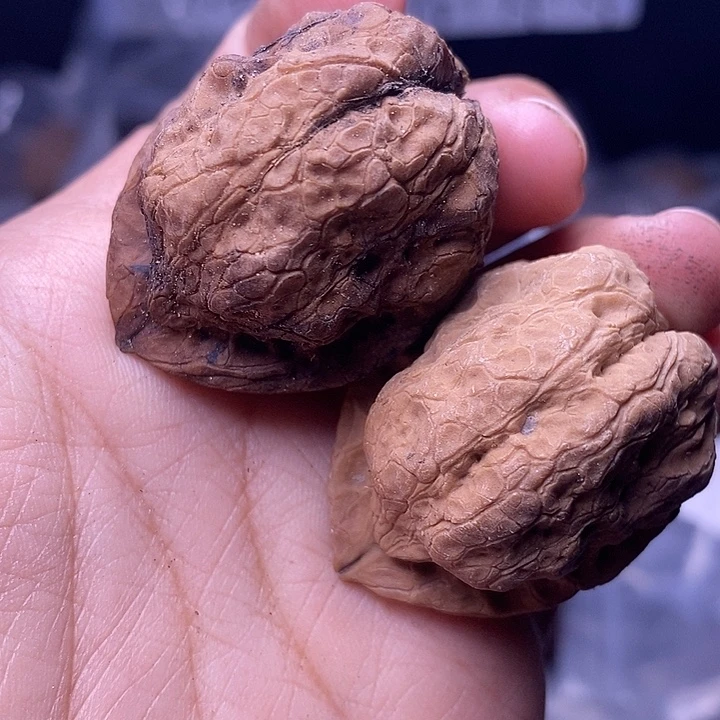 道***然文玩核桃把件   253