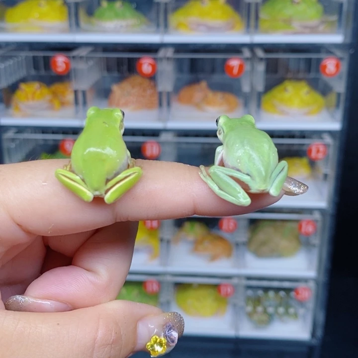 角蛙恭喜发财大吉大利