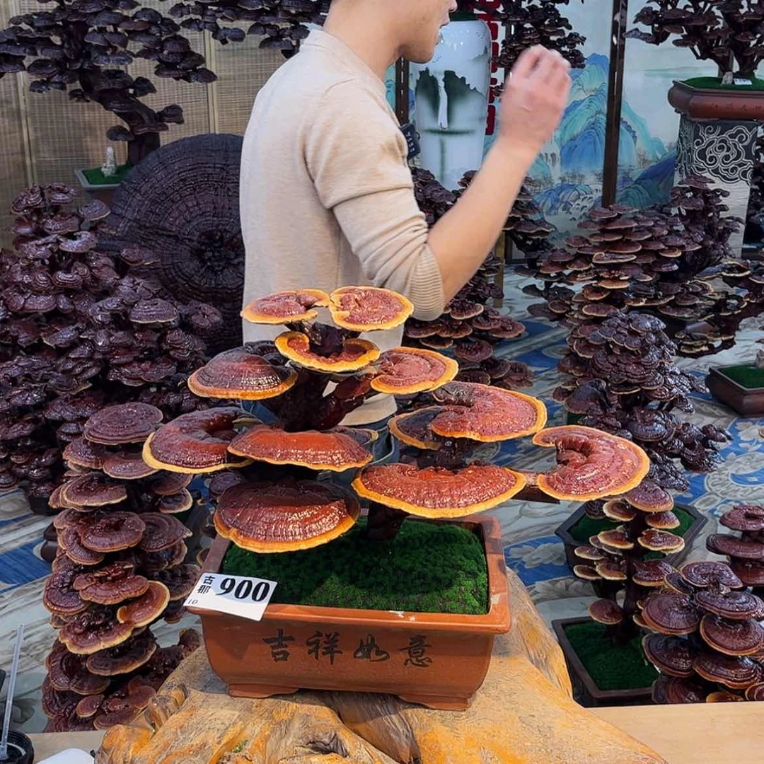 【闪购商品】88888