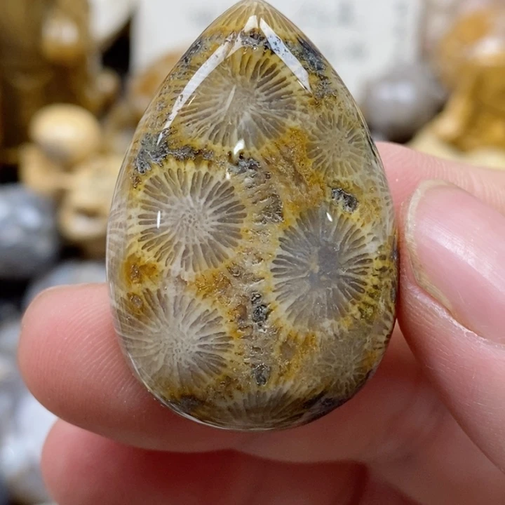 颈饰未镶嵌硅化珊瑚（珊瑚玉）有瑕 小