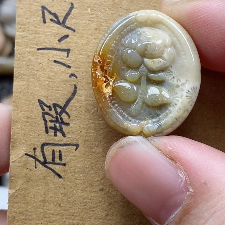 颈饰未镶嵌硅化珊瑚（珊瑚玉）